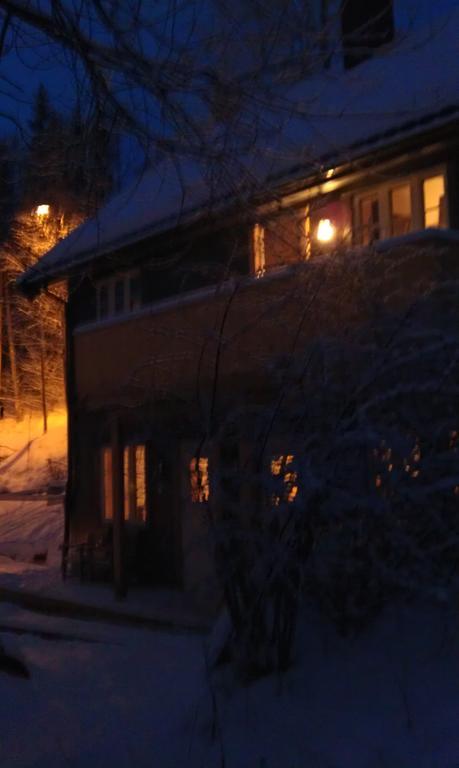 Valdres Naturlegvis Фагернес Екстериор снимка
